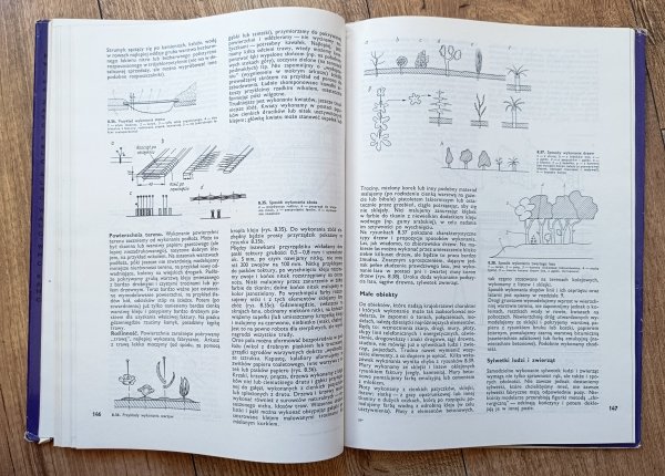 Tadeusz Dąbrowski Miniaturowe kolejnictwo
