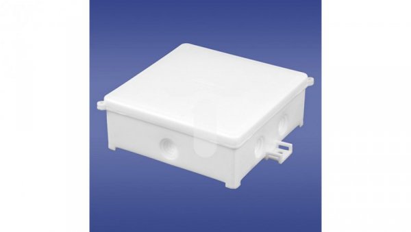 Puszka n/t hermetyczna pusta 100x100mm PIN 100/B biała 31.100