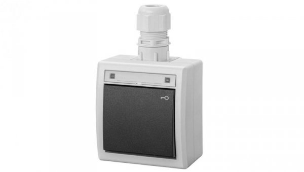 AQUANT 2K łącznik natynkowy zwierny klucz IP65 szary 5007-65