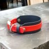 Obroża dla CHARTA M (33 - 38 cm) oryginalny BIOTHANE® 38mm