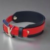 Obroża dla CHARTA S (30 - 35 cm) oryginalny BIOTHANE® 38mm