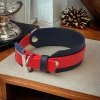 Obroża dla CHARTA XL (39 - 44 cm) oryginalny BIOTHANE® 38mm