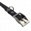 Obroża dla psa XS (30 - 38 cm) oryginalny BIOTHANE® 19mm
