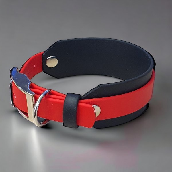 Obroża dla CHARTA S (30 - 35 cm) oryginalny BIOTHANE® 38mm