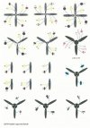 Techmod 32076 Propeller logos and stencils / Oznakowanie śmigieł 1/32