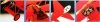 Revell 04744 Fokker Dr.I Richthofen (1:28)