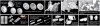 Dragon 6769 Panzerjager II fur Pak 40/2, Sd.Kfz.131 Marder II Early Production (1:35)