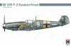 Hobby 2000 32013 Bf 109 F-2 Eastern Front (HASEGAWA + CARTOGRAF + MASKI + METAL PARTS) 1/32