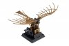 Italeri 3108 Leonardo Da Vinci Macchina Volante (ORNITOTTERO) - Flying Machine (ORNITHOPTER)