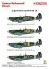 Techmod 32019 - Supermarine Spitfire Mk VB (1:32)