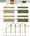 Gecko Models 16GM0012 German 7,5 cm Pak 40 Anti-Tank Gun Early Prod. 1/16