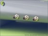 Master AM-48-025 P-40 E-N - fairings with blast tubes for .50cal Browning (6pcs) (1:48)