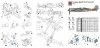 Hobby 2000 48017 Focke-Wulf Ta 152 H-0 ( DRAGON + CARTOGRAF ) 1/48