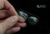 Quinta Studio QC48017 Su-2 vacuformed clear canopy (for Zvezda kit) 1/48