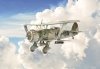 Italeri 2819 HENSCHEL HS 123 1/48