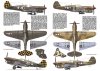 Kagero 3043 Curtiss P-40 vol. III EN