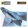 Liang 0006 Salt Weathering Effects Airbrush Stencils (Sparse)