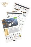 Clear Prop! CP72022 H-75N Hawk STARTER KIT 1/72