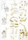 Pontos 37034FN USS BB-63 Missouri 1945 Advanced Detail Up Set for Hobbyboss Kit (Teak Tone wooden deck) 1/350
