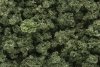 Woodland Scenic WFC1644 Zarośla - Olive Green Bushes