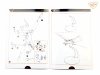 Clear Prop! CP3502 TB.2 UAV In Polish Service STARTER KIT 1/35