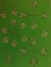 RT-Diorama 35614 Jungle Plant No.4 1/35
