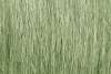 Woodland Scenics WFG173 Light Green Field Grass