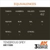 AK Interactive AK11026 Tenebrous Grey 17ml