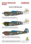 Techmod 48054 - Curtiss P-40N-5 Warhawk (1:48)