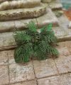 RT-Diorama 35614 Jungle Plant No.4 1/35