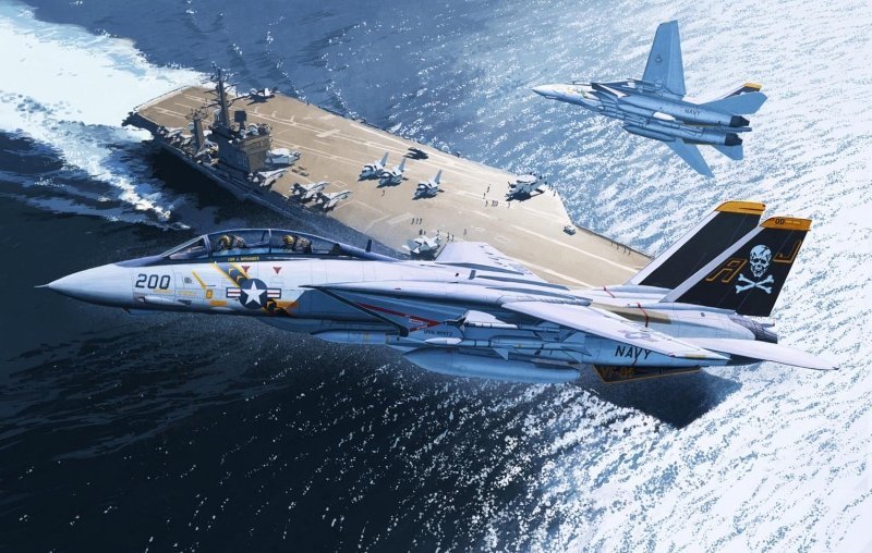 ホビー・楽器・アート F-14A TOMCAT Jolly Rogers F-14A TOMCAT Jolly Rogers The History of the F-14 Jolly Rogers