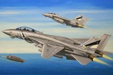 Hobby Boss 80278 F-14d Super Tomcat (1:72)