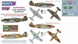 Montex K48238 P-40B 1/48