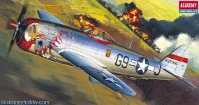 Academy 12491 P-47 D Thunderbolt Bubble-Top (1:72) (2174)