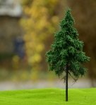 FREON SWP2 Norway spruce - Świerk Pospolity pień wysoki (leśny) 14/16cm