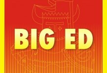 Eduard BIG49186 F-35A MENG 1/48