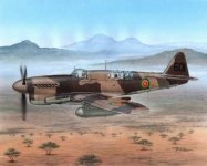 Special Hobby 48151 Fairey Firefly Mk.I Foreign Post War Service (1:48)