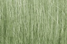 Woodland Scenics WFG173 Light Green Field Grass