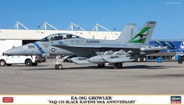 Hasegawa 02351 EA-18G GROWLER™ “VAQ-135 BLACK RAVENS 50th ANNIVERSARY” 1/72