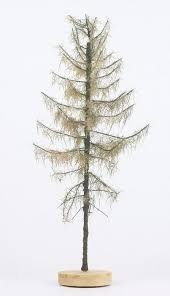 FREON MSU2 Larch - Modrzew pień wysoki suchy 14/16cm