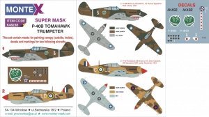Montex K48238 P-40B 1/48