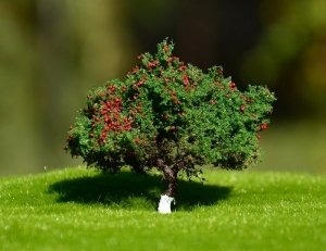 FREON JAB3 Apple tree - Jabłoń 3,5/4cm
