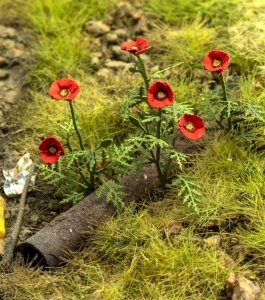 Model Scene VG3-045 Poppies 1/32 1/35