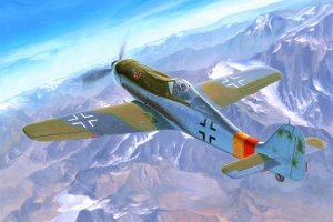 Hobby Boss 81716 Focke Wulf Fw 190D-9 (1:48)