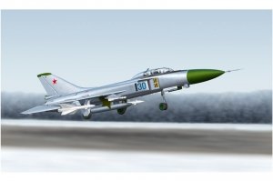 Trumpeter 01625 SU-15 UM Flagon-G (1:72)