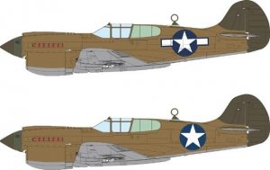Eduard EX1172 P-40K US national insignia EDUARD 1/48