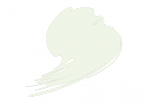 Hataka HTK-A049 Insignia White (FS17875, ANA 511)