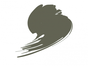 Hataka HTK-C202 BS Dark Slate Grey (BS381C:634) 17ml