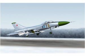 Trumpeter 01625 SU-15 UM Flagon-G (1:72)