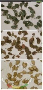 Model Scene L3-502 Eiche - 3 Farben/ Oak 3 colours 1/35